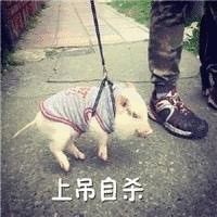窝窝头一块钱四个的梗从哪里来的？这魔性声音太洗脑了