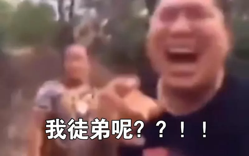 笑到肚子疼！师父我夹不住了，爆笑配音集锦