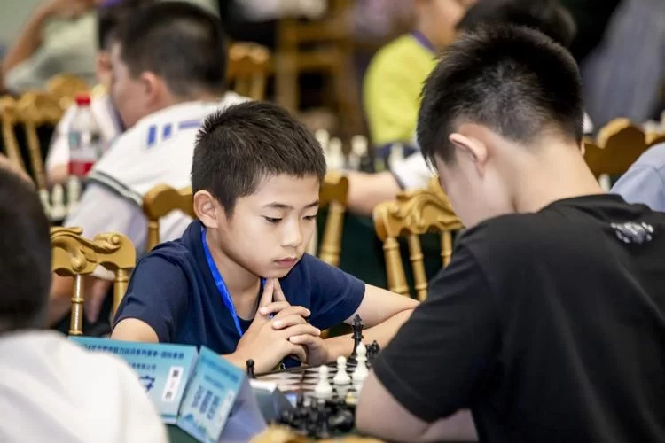 第五届全国智力运动会：合肥盛会，智力巅峰对决！