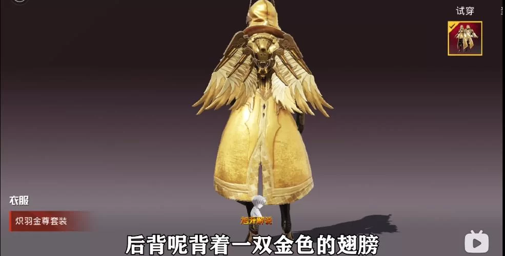 精美炽羽金尊图片：展现游戏角色魅力风采
