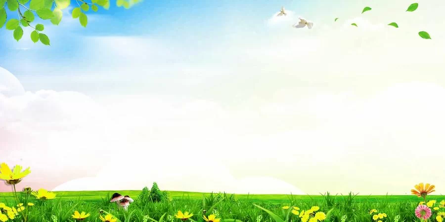 精选草地背景图，适用于各种设计场景！