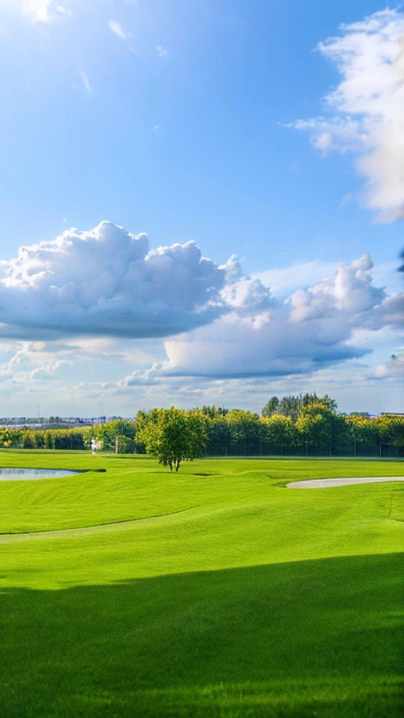 精选草地背景图，适用于各种设计场景！