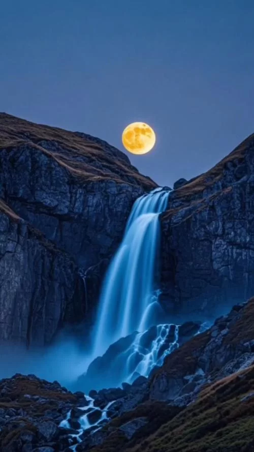 精选超多会动的壁纸，让你的手机动起来吧！