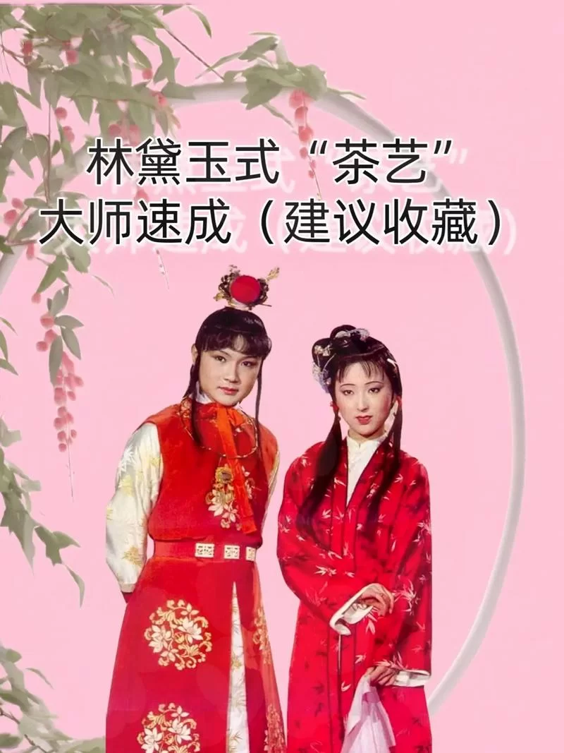 红楼梦林黛玉语录集锦：感受黛玉的才情与心酸