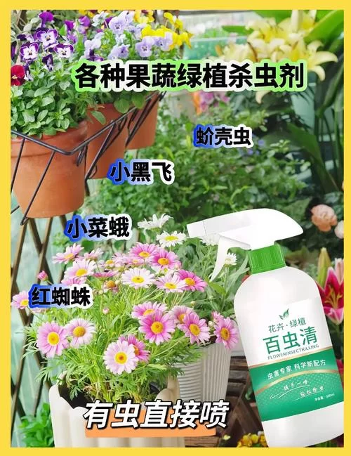 绿巨人网：告别虫害烦恼，专业除虫公司值得信赖！