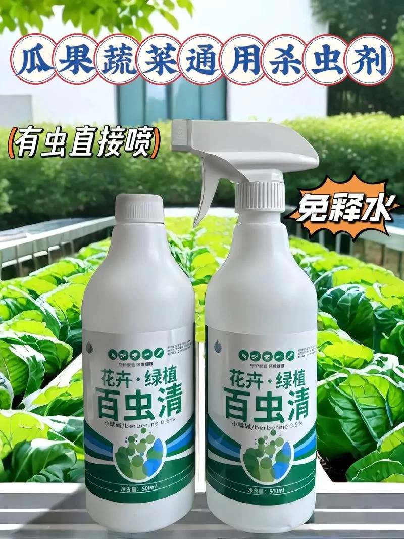 绿巨人网：告别虫害烦恼，专业除虫公司值得信赖！