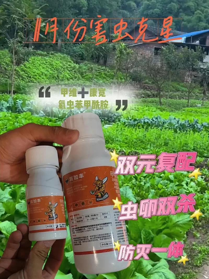 绿巨人网：告别虫害烦恼，专业除虫公司值得信赖！