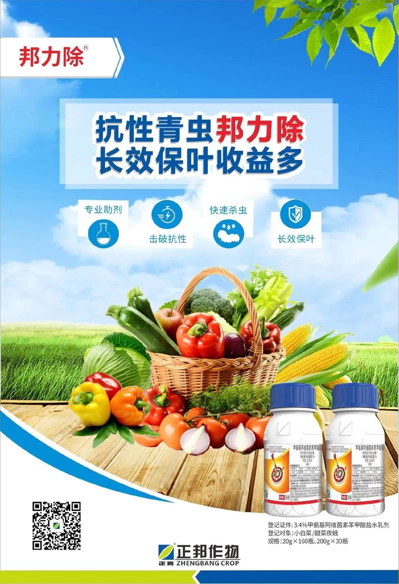绿巨人网：告别虫害烦恼，专业除虫公司值得信赖！