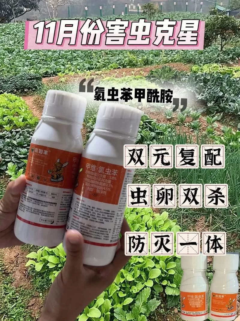 绿巨人网：告别虫害烦恼，专业除虫公司值得信赖！