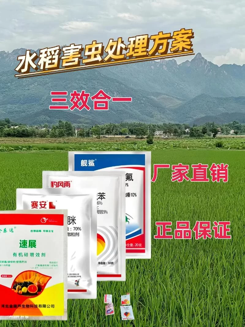 绿巨人网：告别虫害烦恼，专业除虫公司值得信赖！