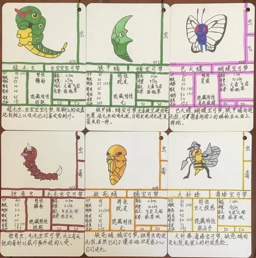 绿毛虫进化顺序图解：铁甲蛹到巴大蝶，完整进化过程