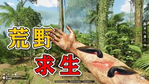 绿色地狱修改器大全：各种版本，满足你的游戏需求
