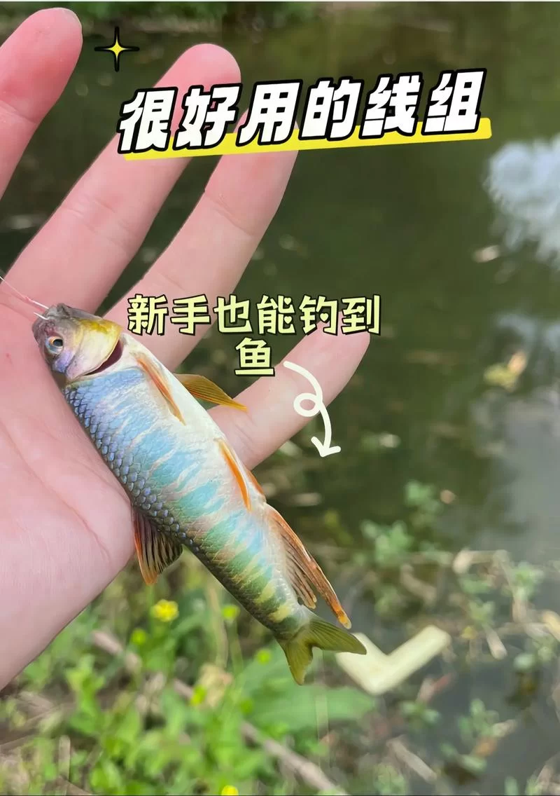 绿色地狱鱼竿制作教程：图文详解，快速上手钓鱼