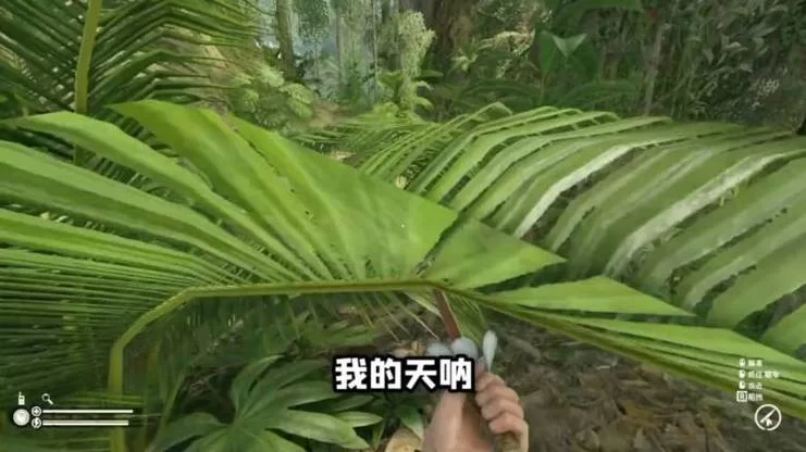 绿色地狱鱼竿制作教程：图文详解，快速上手钓鱼