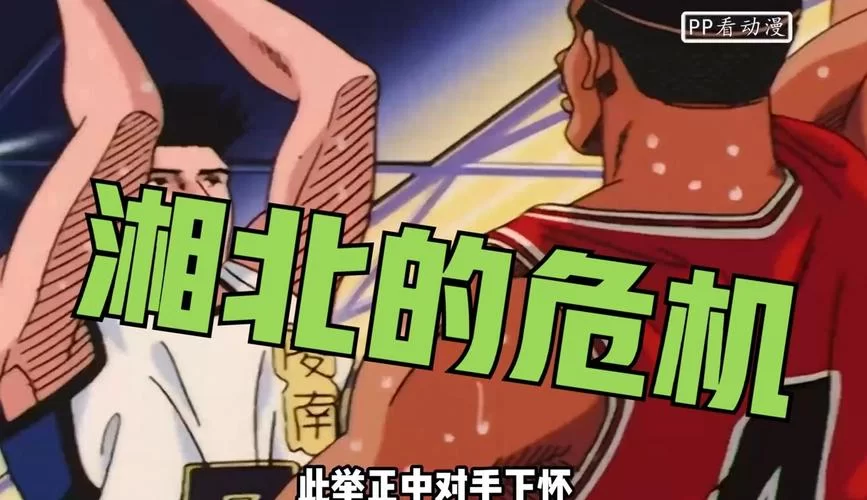 网传灌篮高手采精攻略，真相只有一个：远离低俗内容