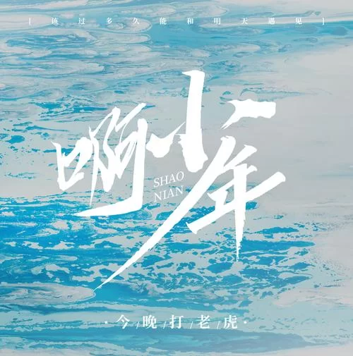 网友热搜：少年啊宾txt，完整版下载！