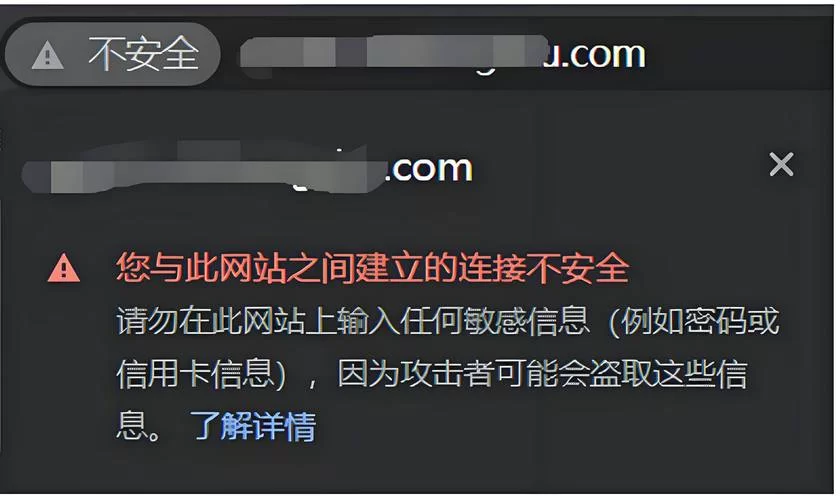 网站无法访问禁止访问？详细步骤教你恢复正常