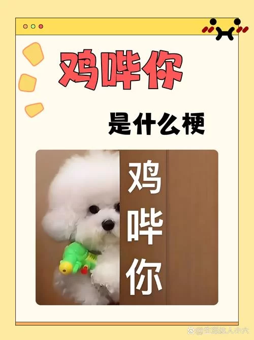网络流行语铁憨憨是什么意思？一文带你了解