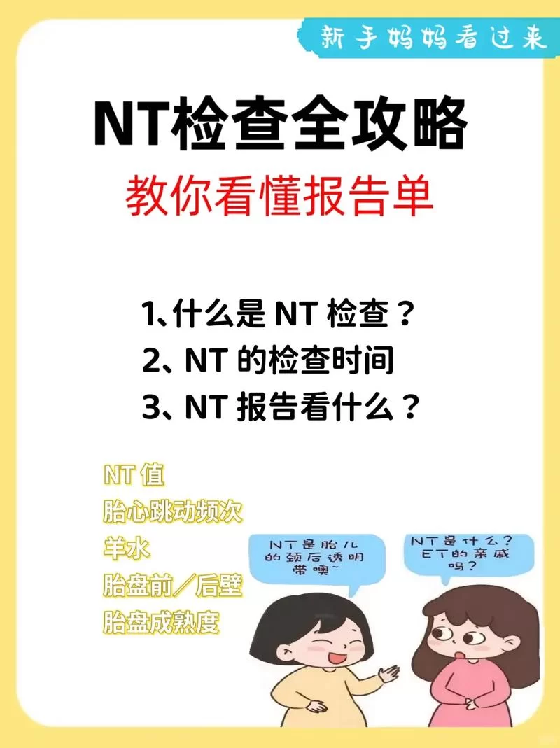网络热词nt是什么意思？nt梗的多种含义解读