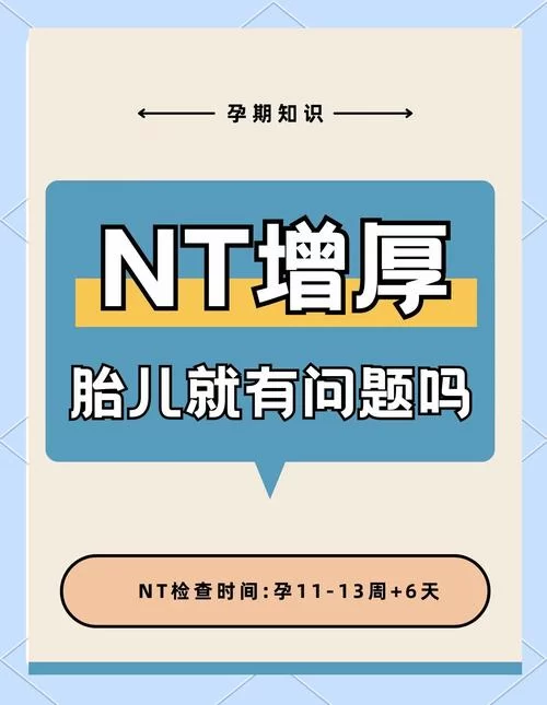 网络热词nt是什么意思？nt梗的多种含义解读