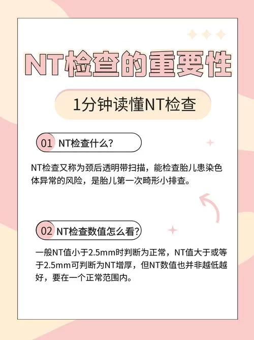 网络热词nt是什么意思？nt梗的多种含义解读