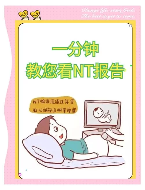 网络热词nt是什么意思？nt梗的多种含义解读