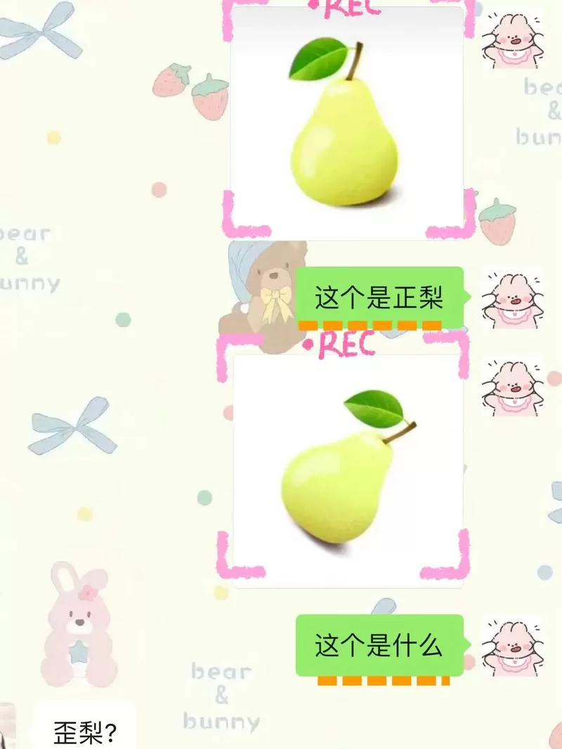 网络热词“私密马赛”究竟是什么意思？