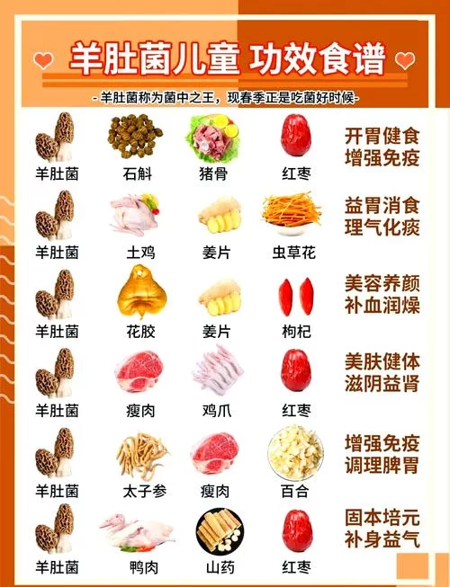 羊肚菌怎么做好吃？三种做法，鲜美营养又简单