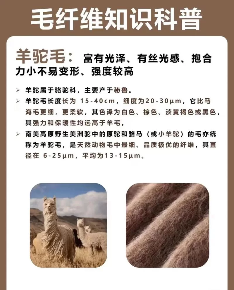 羊驼是什么意思？详解羊驼的习性和有趣小知识
