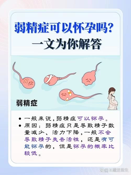 美女与精子：一场关于生命延续的奇妙旅程