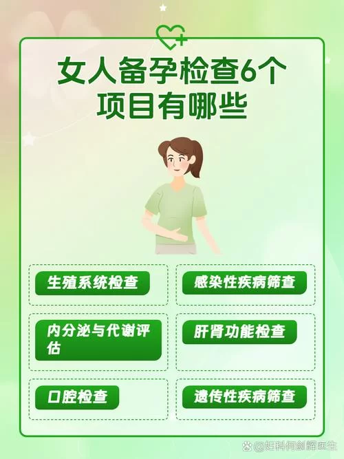美女与精子：一场关于生命延续的奇妙旅程