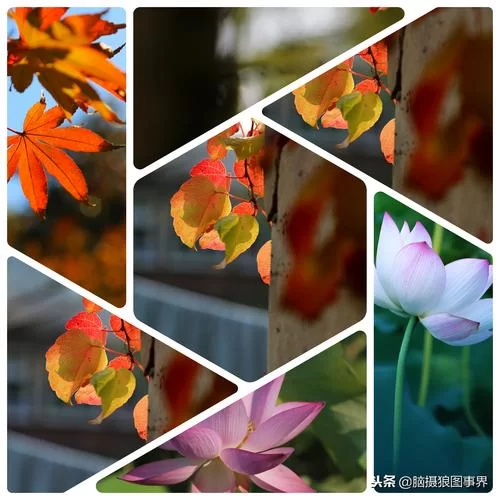美美拼图相片拼图：简单易用，快速制作精美照片拼图