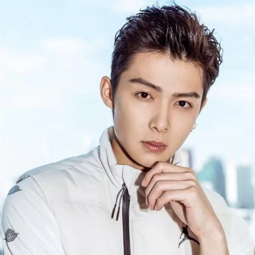 老九门电视剧里张副官名字是什么？演员张铭恩的个人经历