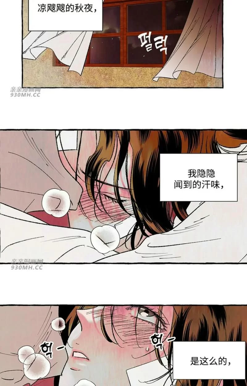 老司机天堂：各种类型应有尽有，满足你的口味