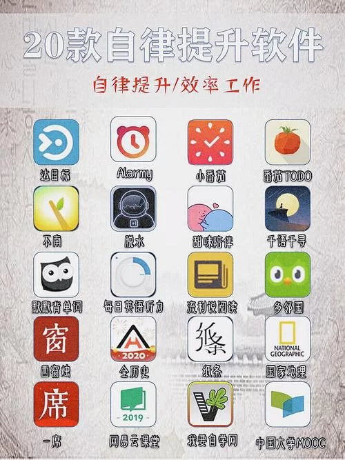老司机网址推荐：提高工作效率的实用工具