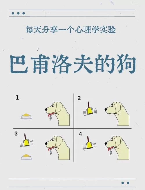 老滚5爱之实验室触发条件是什么？新手必看指南