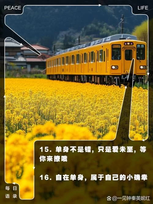聊天不充值全免费！超多单身用户等你来撩