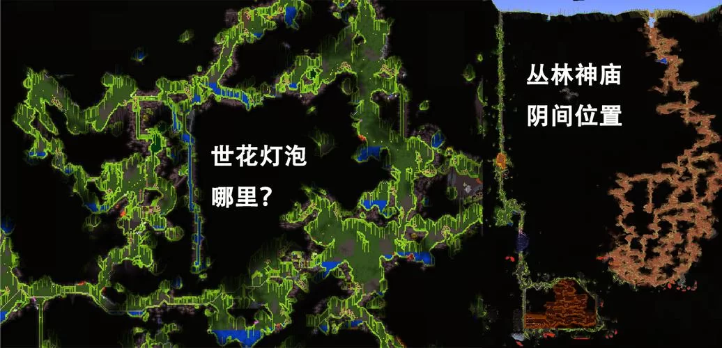 肉山后世纪之花挑战指南：详细打法技巧