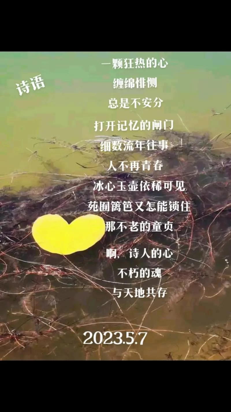 胜过言语的音乐：此时无声胜有声的体验