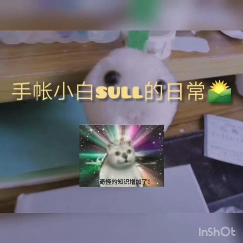 脆皮鸭文学是什么意思？小白也能轻松看懂