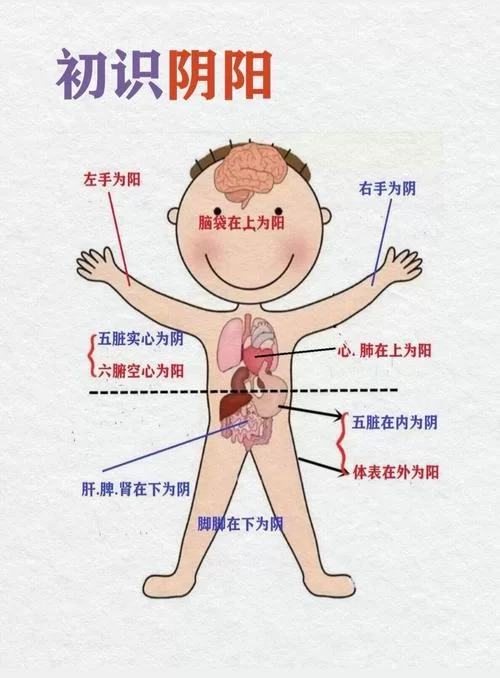 自学阴阳术入门：零基础小白也能轻松掌握的秘诀