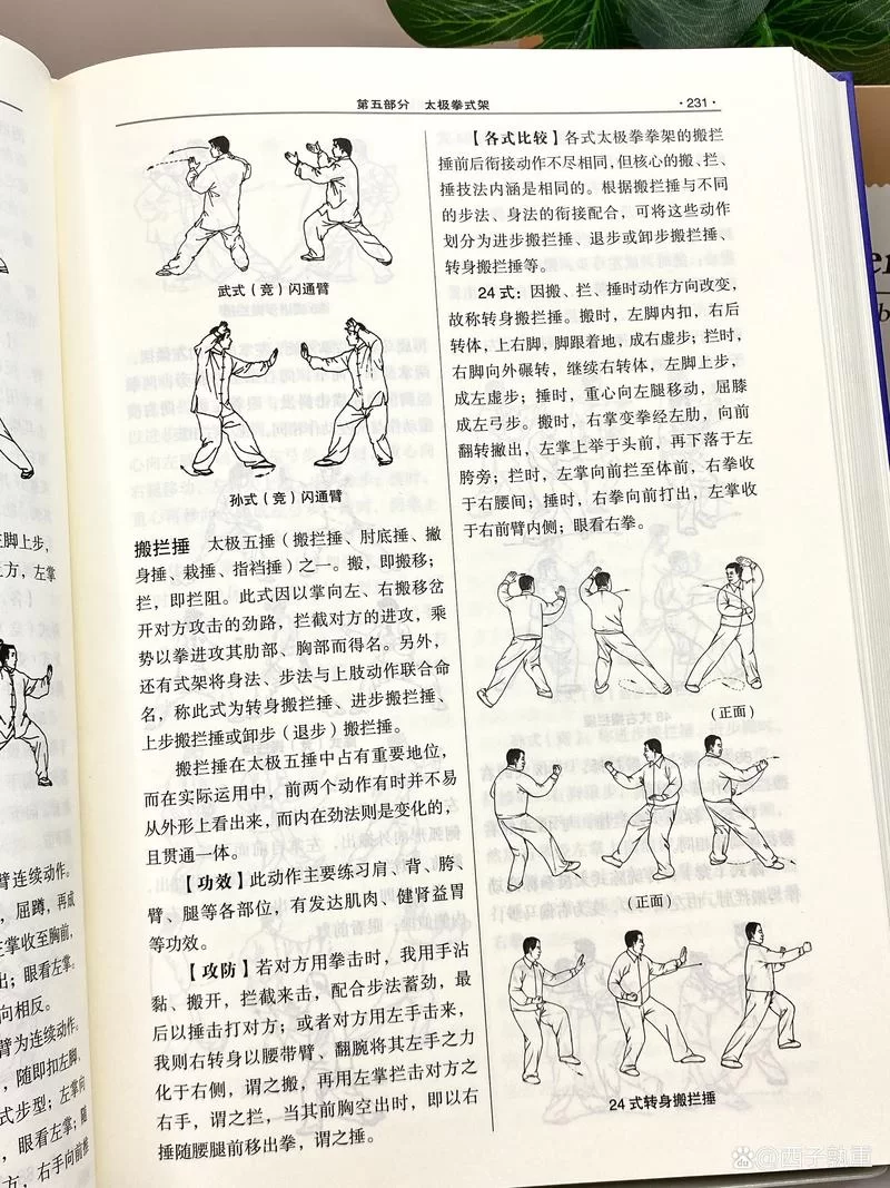自学阴阳术入门：零基础小白也能轻松掌握的秘诀