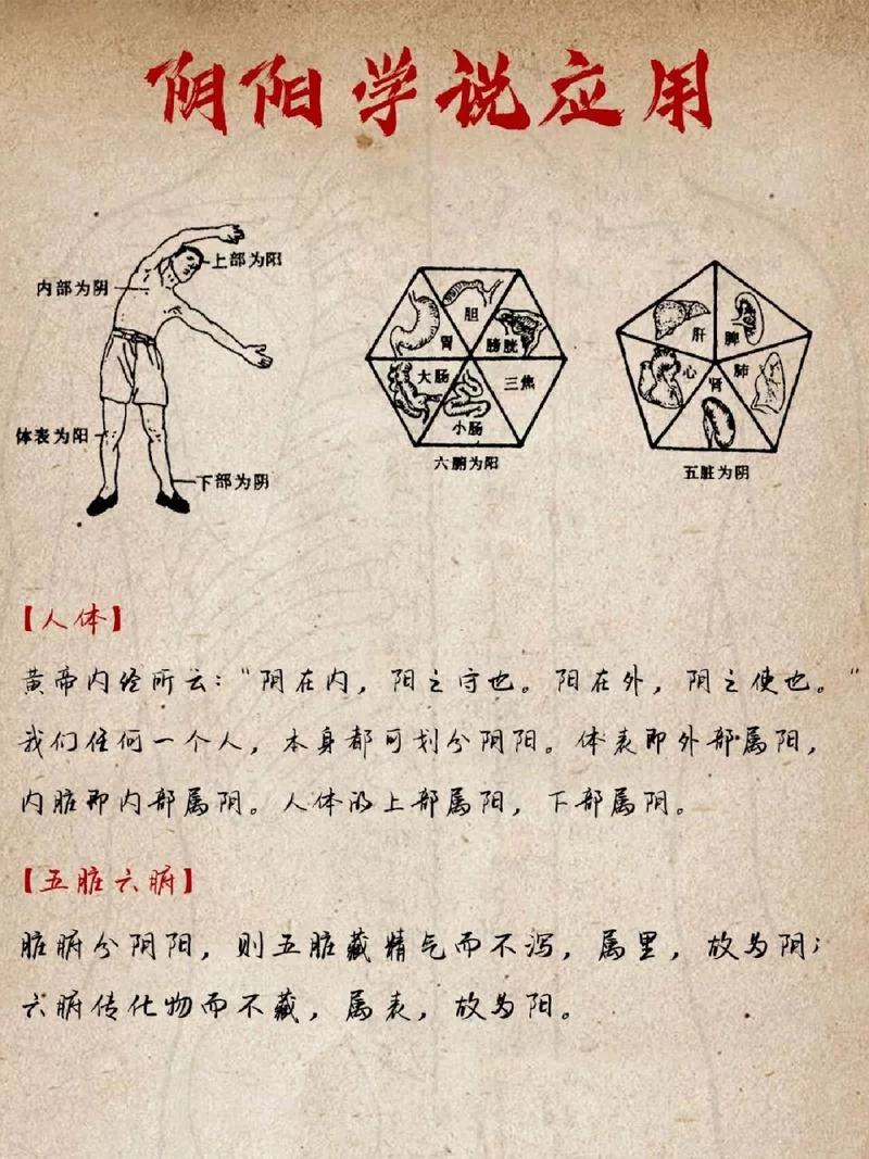 自学阴阳术入门：零基础小白也能轻松掌握的秘诀
