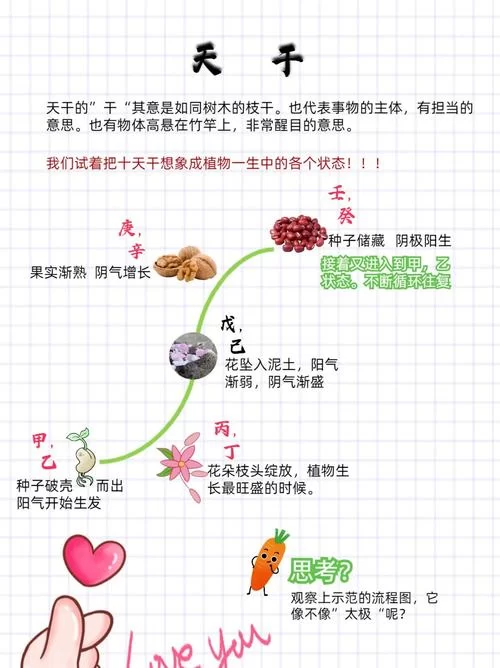自然属性是什么？简单理解自然属性的含义