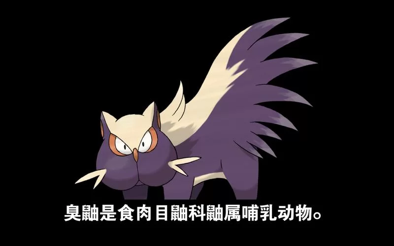 臭鼬的秘密：它是怎么释放臭味的？