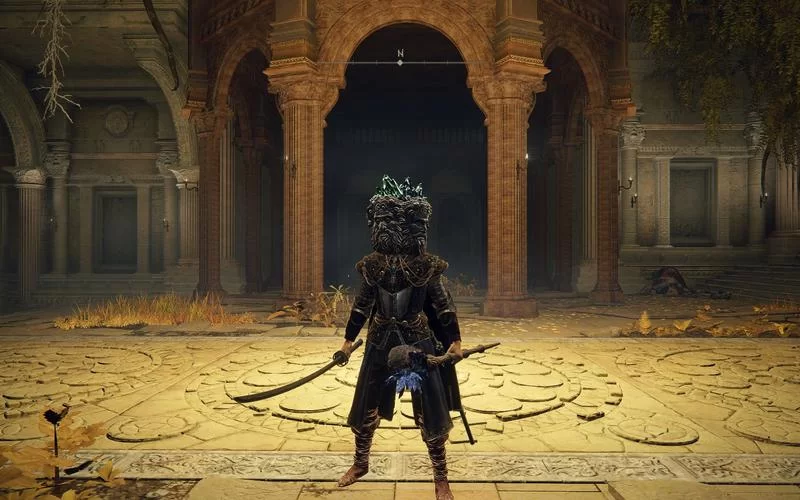 艾尔登法环法师升级攻略：智力、集中力怎么加点？