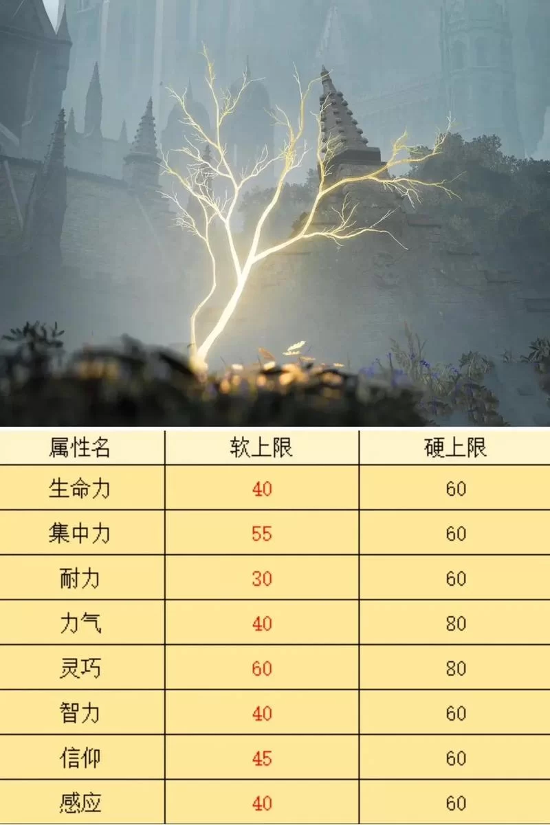 艾尔登法环法师升级攻略：智力、集中力怎么加点？