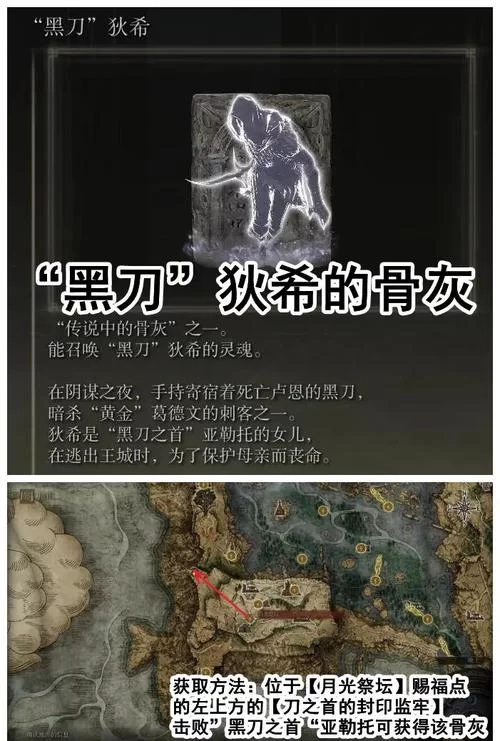 艾尔登法环追忆一共有几个？新手必看收集指南