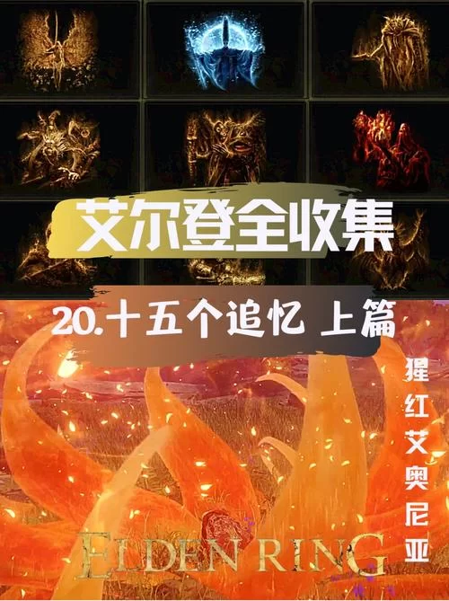 艾尔登法环追忆一共有几个？新手必看收集指南