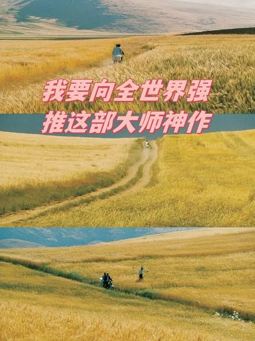 艾特所有人：这部电影到底讲了什么故事？